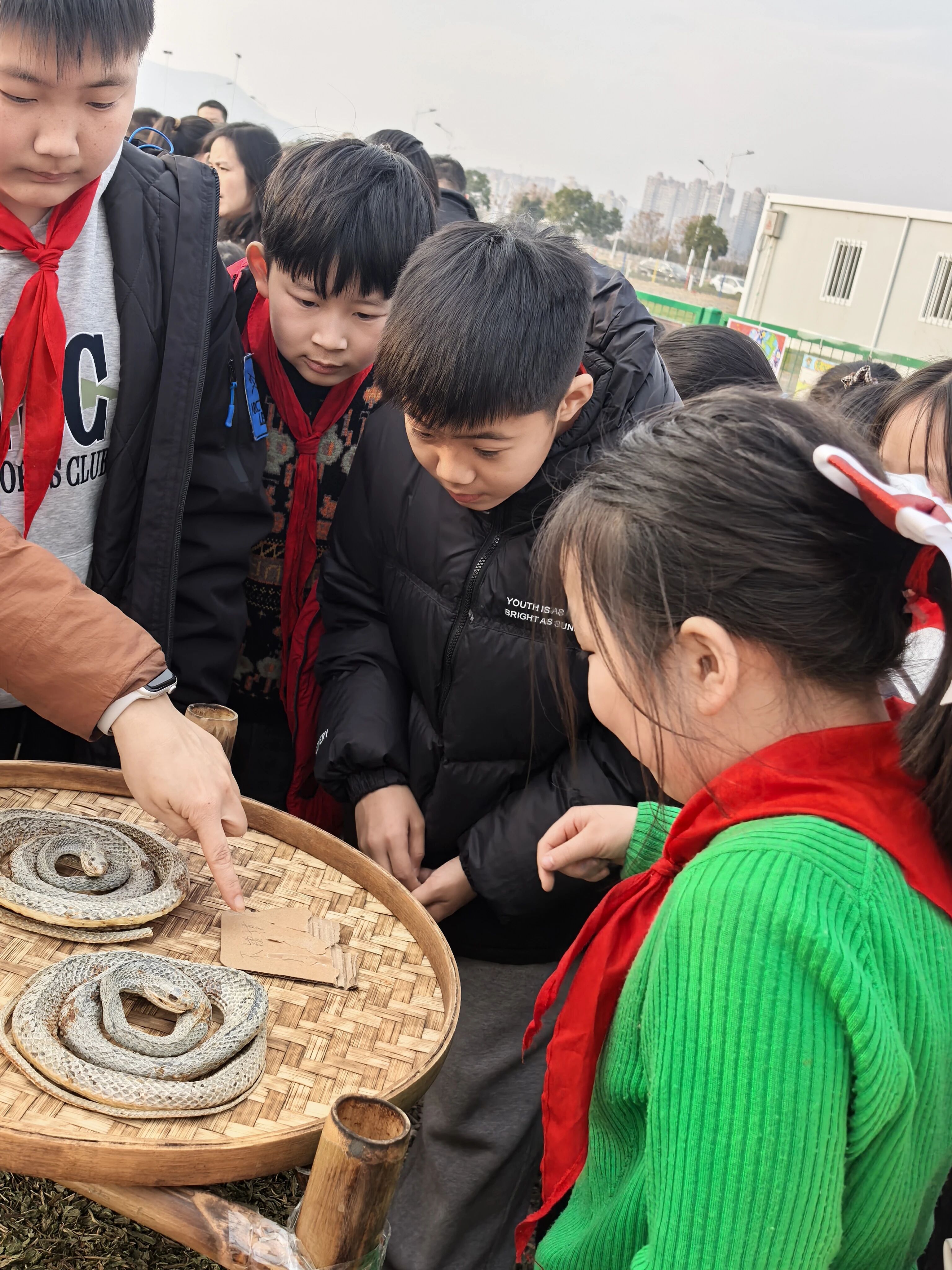 党建共建聚合力 本草飘香润童心